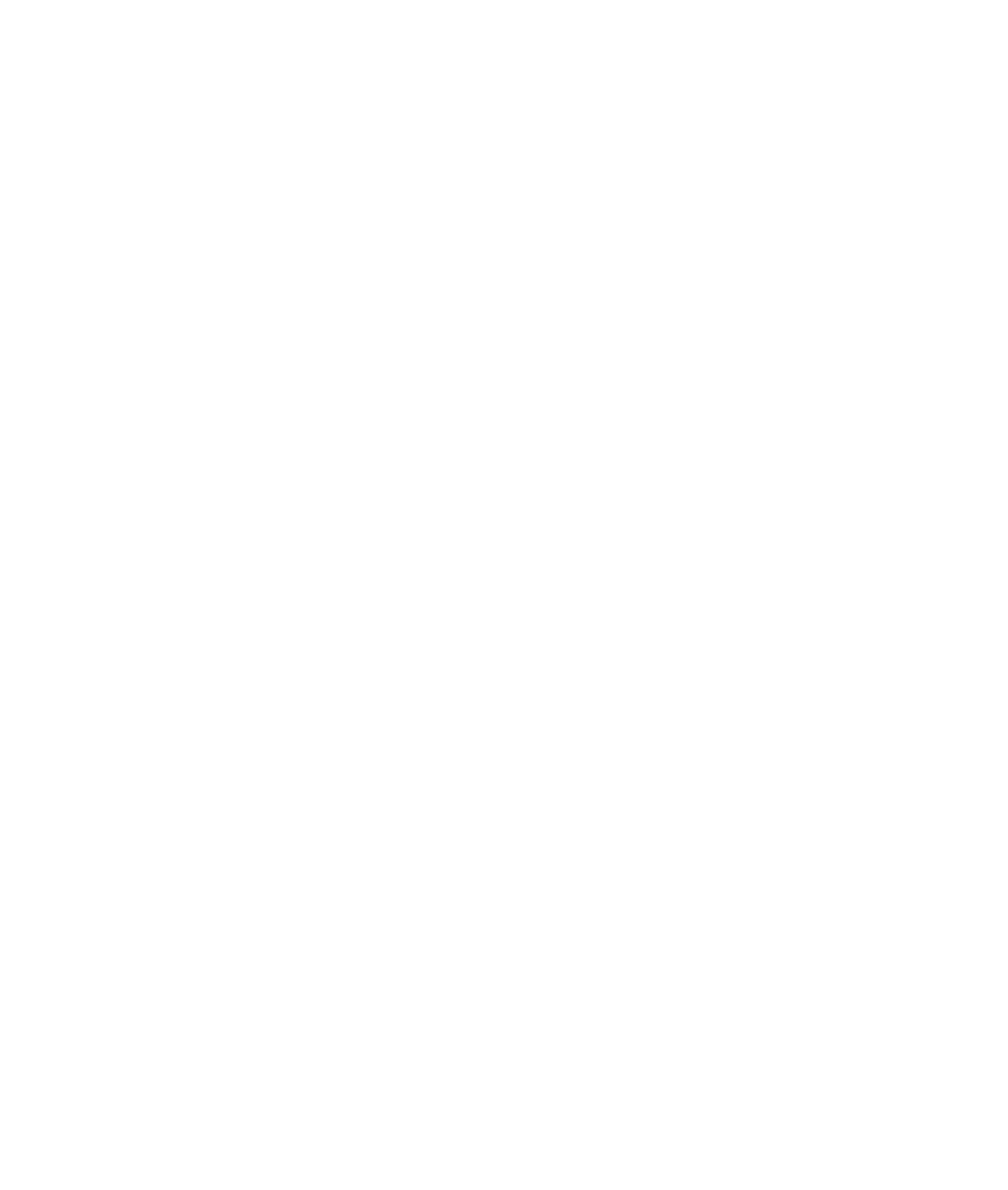 ВиС - Видеонаблюдение и сигурност